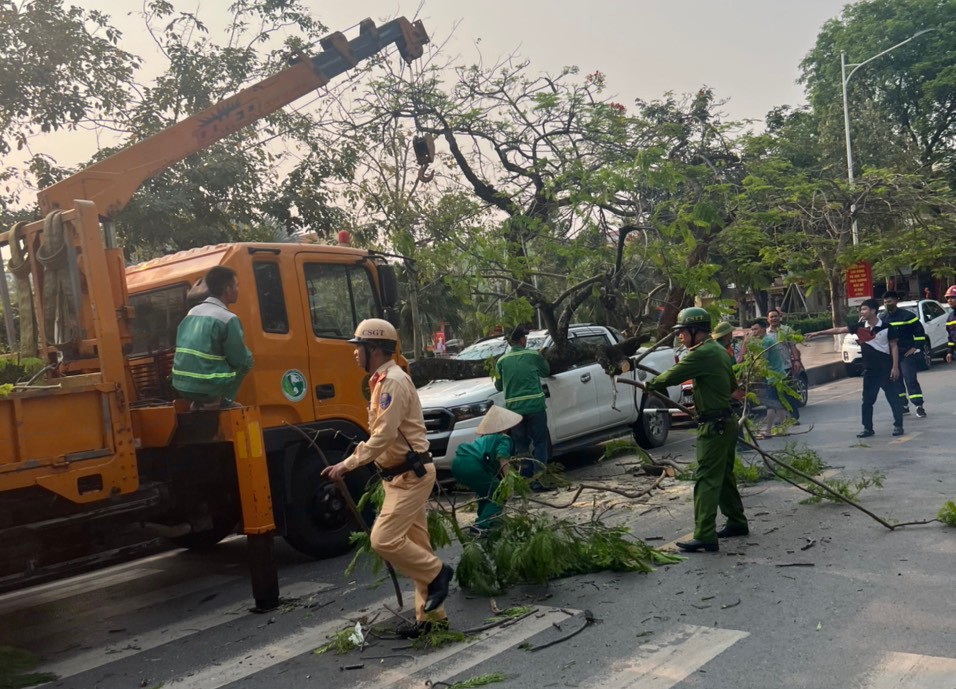 Công an quận Hồng Bàng: Phân luồng, điều tiết giao thông khu vực cây ngã đổ